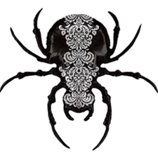 Spooky Spider